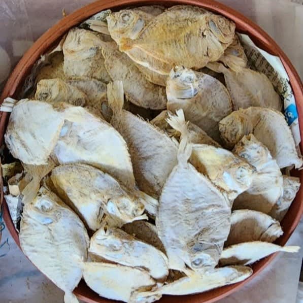 Dry Pony fish / ಕುರ್ಚಿ