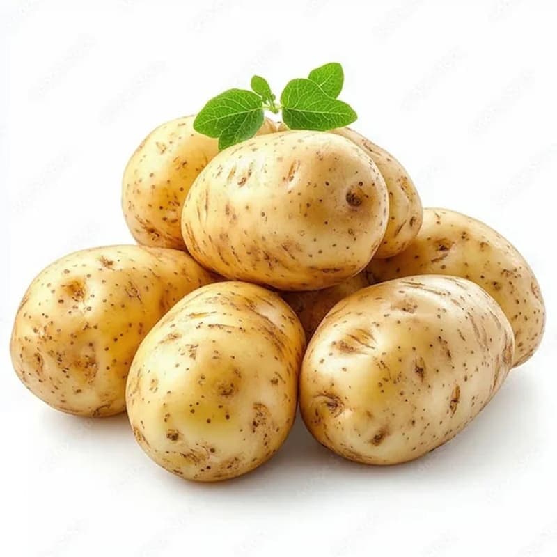 Potato