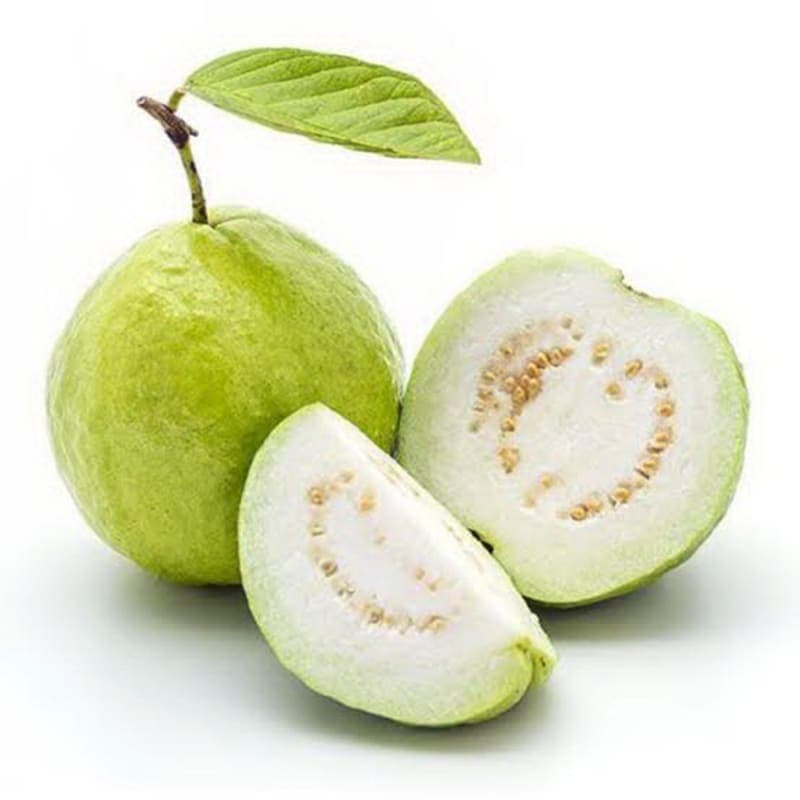 Taiwan Guava