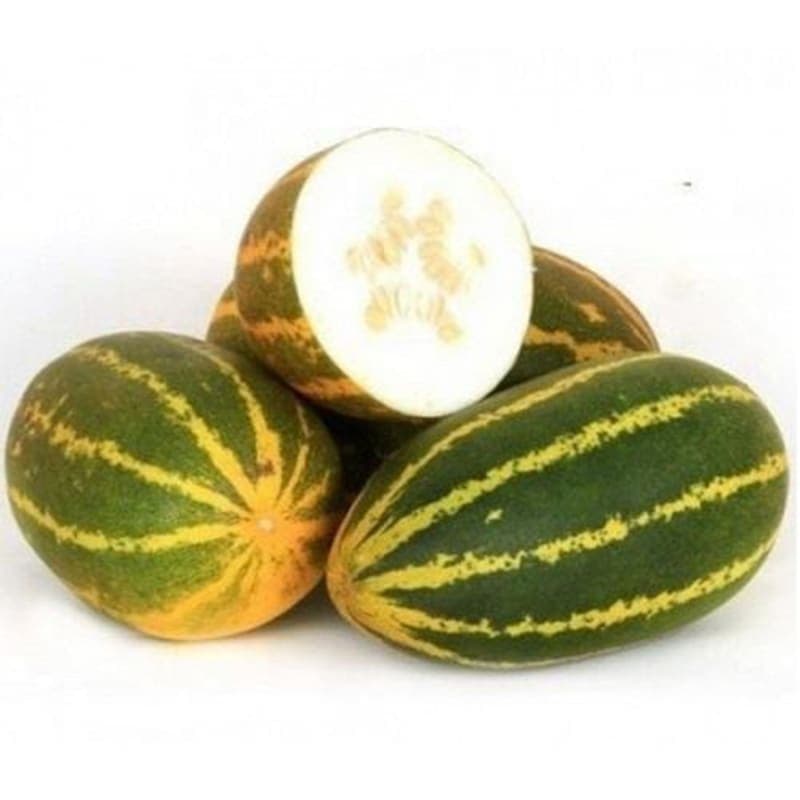 Sambar Southe (Small)