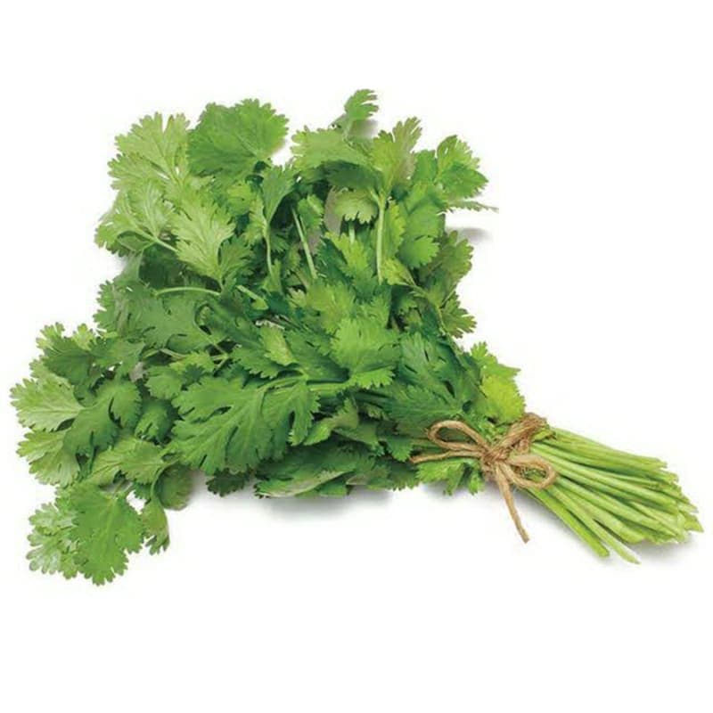 Coriander Leaves